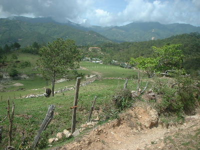 ���R�̕��i