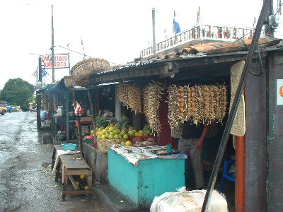 �\�[�Z�[�W�X