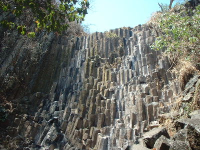 ���X�E�e���V�I�X