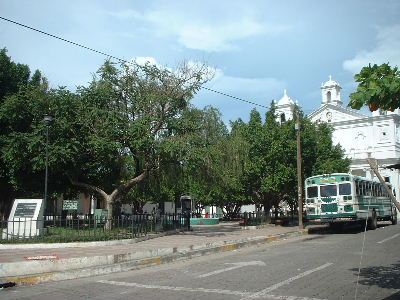 �X�`�g�g����