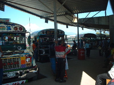 �o�X�^�[�~�i��