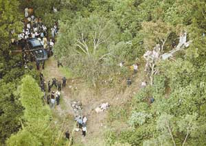 �ė�������