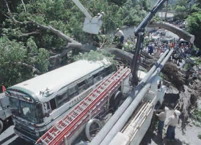 ���g�D�̉���