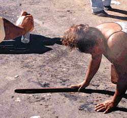 ����q���P�K�𕉂�