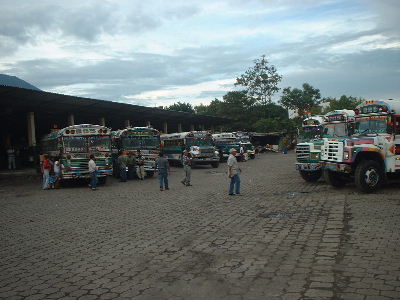 ���o�X�^�[�~�i��