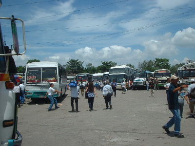 ���o�X�^�[�~�i��