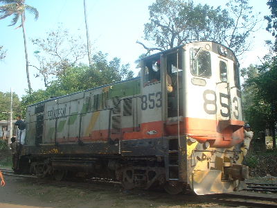 �f�B�[�[���@�֎�